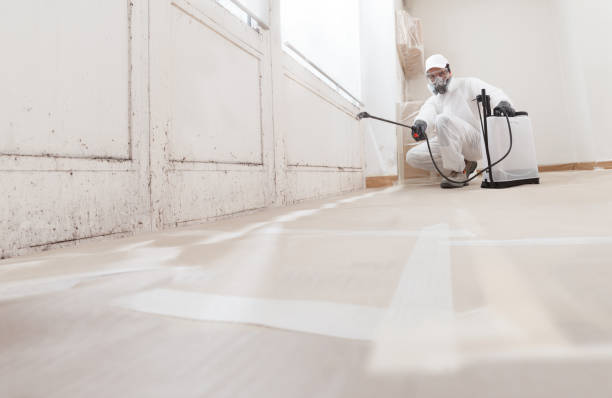 24/7 Emergency Mold Cleanup experts in Jacksonville, TX
