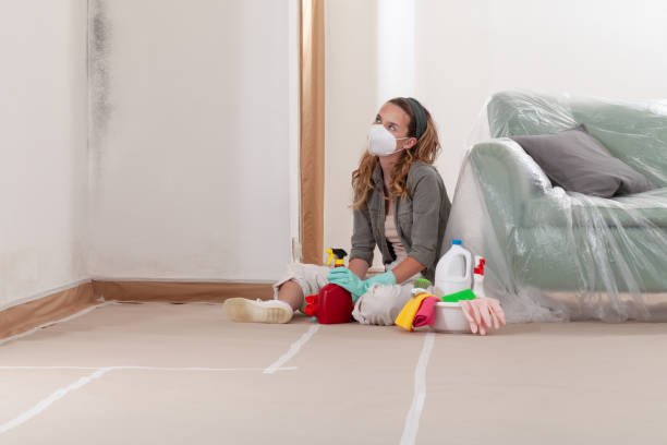 Reliable Mold Cleanup contractor in Jacksonville, TX by Cheap Mold Removal